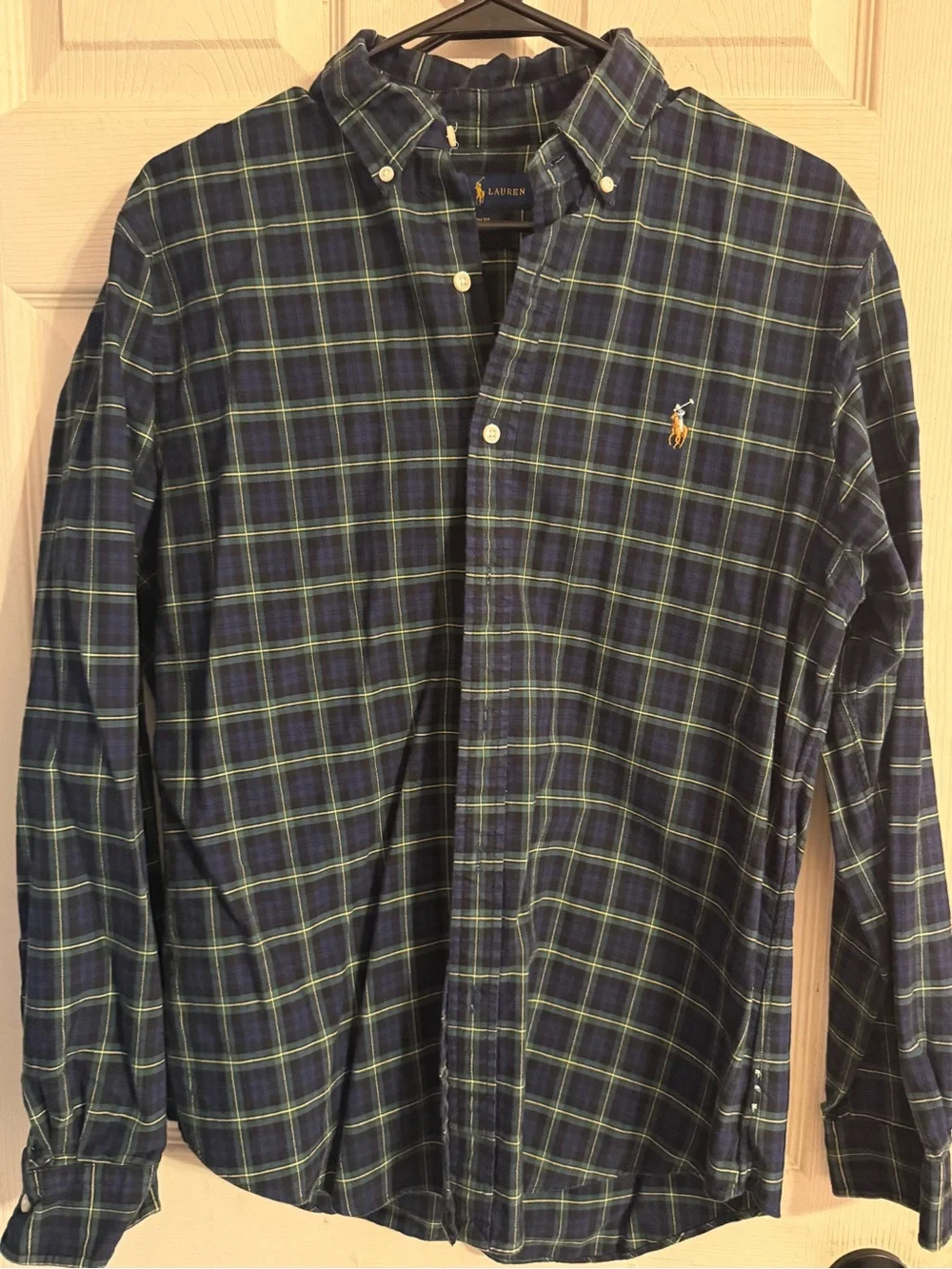 Polo by Ralph Lauren Blue & Green Plaid Button-Down Shirt